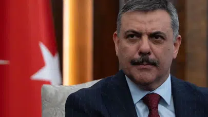 Sokak hayvanları için kritik eşik aşıldı: Türkiye genelinde her dört hayvandan üçü koruma altında