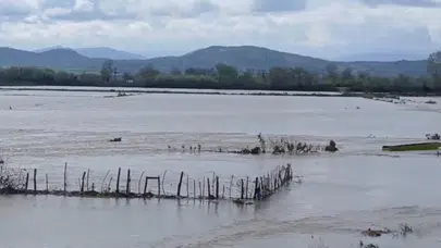 Edirne'de kabus dolu saatler: Meriç Nehri taştı, tarım arazileri sular altında kaldı