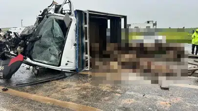 Siirt’te feci kaza: Koyun yüklü kamyonet ile otomobil çarpıştı, ortalık savaş alanına döndü