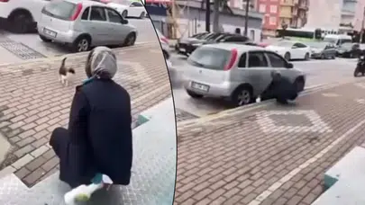 Karamürsel’de vicdanları sızlatan anlar: Çağırıp yüzüne sprey sıktı