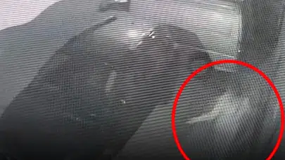 Bursa'dan gelen dehşet: Eski sevgilisini sokak ortasında vurdu