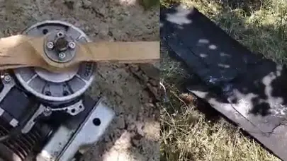 Sabah sessizliğini dev gövde bozdu: Fındık bahçesinde şok eden görüntü