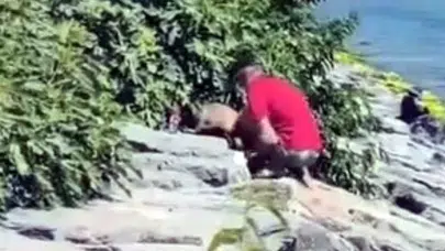 Avcılar’da kan donduran anlar: Savunmasız köpeği acımasızca darbetti