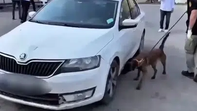 Hakkari’de şok operasyon: Kamu görevlisinin aracından uyuşturucu deposu çıktı