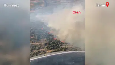 İzmir’de korkutan orman yangını: Ekipler alevlerle kıran kırana mücadele ediyor
