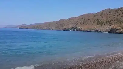 Kavurucu haziran bilançosu ağır oldu: 10 binden fazla kişi hayatını kaybetti