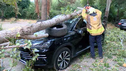 Beykoz'da fırtına dehşeti: Devrilen ağaç aracı hurdaya çevirdi