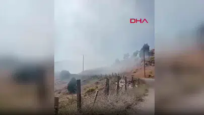 Alanya'da tarım arazisinde yangın: 4 dönüm zirai alan küle döndü