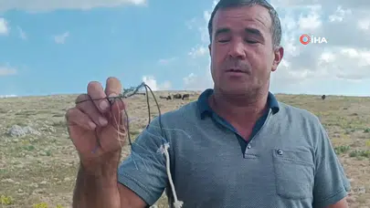 Toroslar’da yasa dışı avcılık tuzağına müdahale edildi