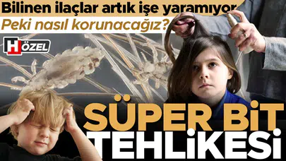 Süper bitler kabus oldu: İlaçlara direnç geliştirdiler, geleneksel yöntemler yetersiz kalıyor