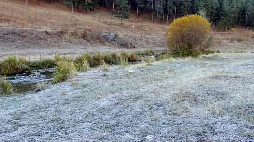 Kars'ta Araç Camları ve Bitkiler Kırağı ile Kaplandı
