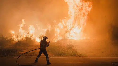 İspanya'da 350 Bin Hektardan Fazla Ormanlık Alan Yandı
