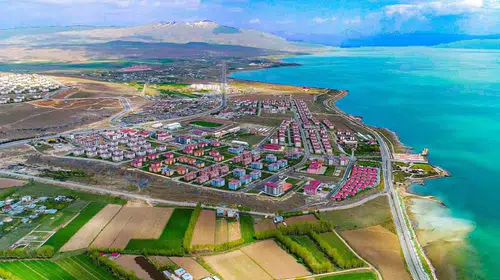 Van Erciş'te Üzüm Hasadı Coşkusu: Kilosu 50 ile 100 Lira Arasında Satılıyor