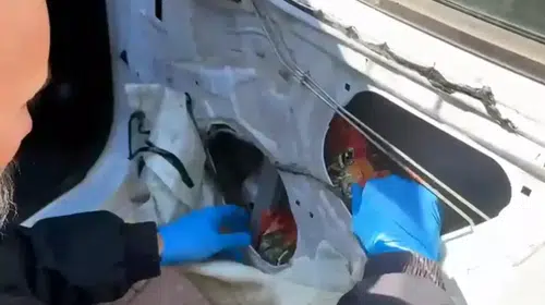 Adana'da Uyuşturucu Operasyonu: 66 Bin 600 Hap Ele Geçirildi