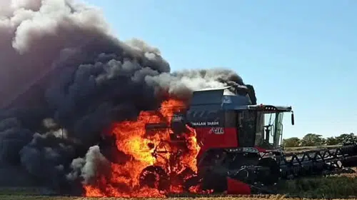 Hasat zamanı kabusa döndü: Çeltik tarlasında korkunç yangın