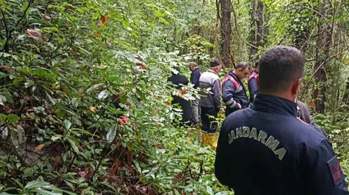 Kestane toplamak için ormana girmişti: Acı haber geldi
