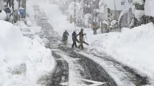 Japonya'da Şiddetli Kar Yağışı Sonrası Felaket: 46 Ölü, 558 Yaralı