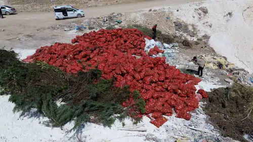 Ankara'da vicdanları sızlatan görüntü: Tonlarca soğan çöpe atıldı, Bakanlık harekete geçti