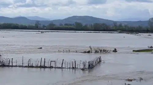 Edirne'de kabus dolu saatler: Meriç Nehri taştı, tarım arazileri sular altında kaldı