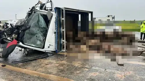 Siirt’te feci kaza: Koyun yüklü kamyonet ile otomobil çarpıştı, ortalık savaş alanına döndü