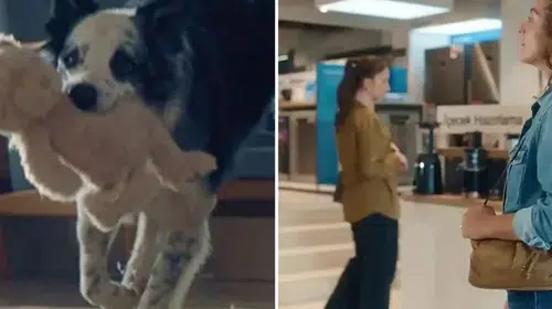 Bosch’un reklam kurgusu büyük tepki çekti: Bakanlık ve RTÜK harekete geçti