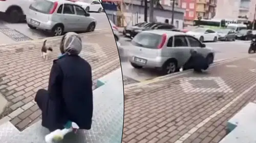 Karamürsel’de vicdanları sızlatan anlar: Çağırıp yüzüne sprey sıktı