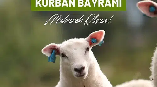 Bayram coşkusu dijitale taşınıyor: 2026 için en özel kutlama mesajları hazır