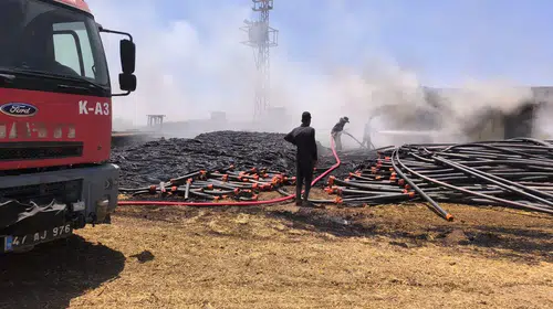 Mardin'de alarm veren yangınlar kontrol altında: Ekipler seferber oldu