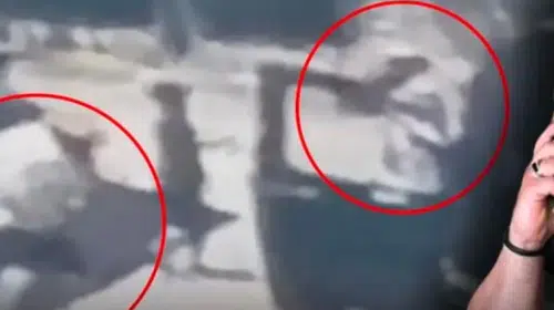 Dilan Polat ve Engin Polat'ın tatil kabusu: Koruma Can Polat uğradığı silahlı saldırı sonucu yaşamını yitirdi