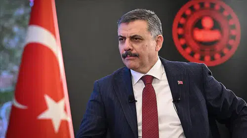 Sokak hayvanları konusunda kritik zirve: Bakan Çiftçi'den çözüm mesajı