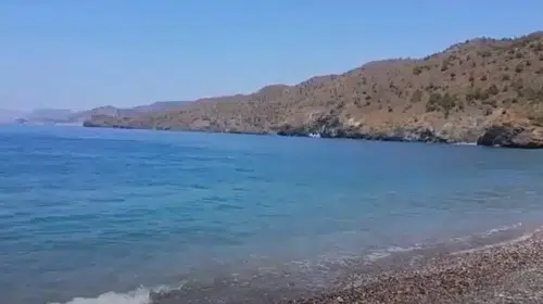 Kavurucu haziran bilançosu ağır oldu: 10 binden fazla kişi hayatını kaybetti
