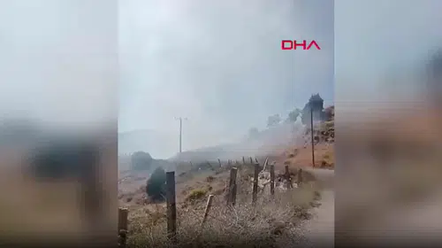 Alanya'da tarım arazisinde yangın: 4 dönüm zirai alan küle döndü