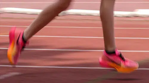 Milli sporcuların üniversite hayali gerçek oldu: 2026 YKS yerleştirme sonuçları erişime açıldı