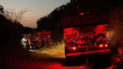 Manisa'da korkutan yangın: Alevler zeytinliklere sıçradı