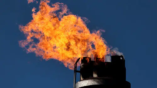 Almanya'da enerji krizi ve radikal sağın yükselişi: AfD Rusya ile masaya oturulmasını istiyor