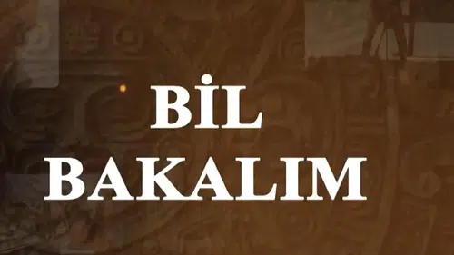 Okyanusların dişli efsanesi: Bir köpekbalığı ömründe kaç diş kaybediyor?
