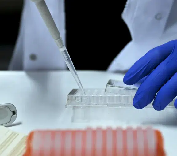 Türkiye'nin sağlıkta devrim niteliğindeki yerli ilaç hamlesi başarıyla sonuçlandı! İlk özgün molekülün klinik testlerinde kritik aşama geçildi