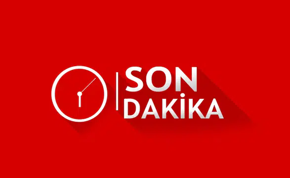 Kilosunu 4 Euroya Satıyorlar: Elazığ'da Domates Hasadı Devam Ediyor