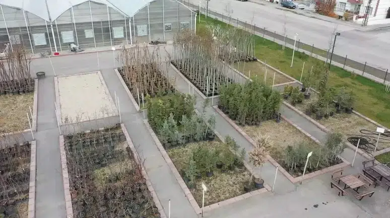 Ankara'da Keçiören Belediyesi'nden Yeşil Alanlara Katkı: Yerel Serada Yetiştirilen Bitkiler