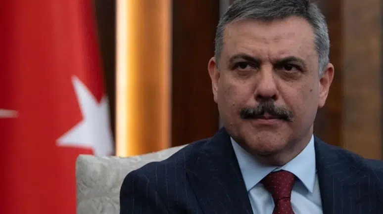 Sokak hayvanları için kritik eşik aşıldı: Türkiye genelinde her dört hayvandan üçü koruma altında