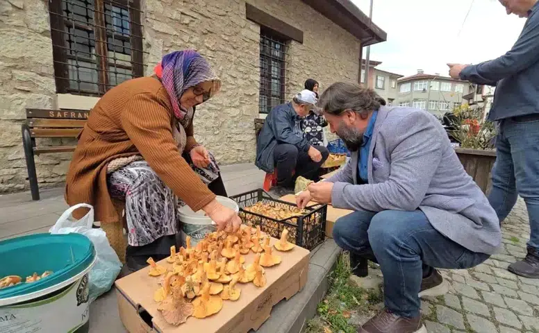 Safranbolu'da Kanlıca Mantarına Büyük İlgi