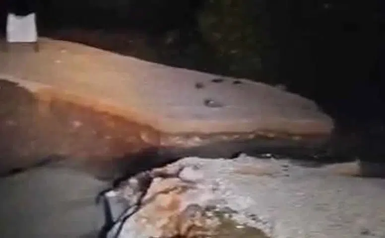 Bursa'da kabus dolu gece: Köprü çöktü, tarım arazileri göle döndü