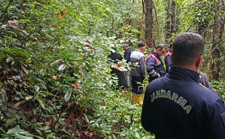 Kestane toplamak için ormana girmişti: Acı haber geldi