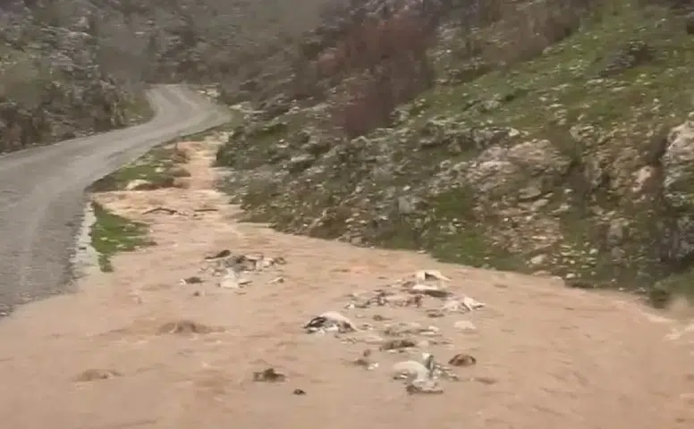 Silvan'da Sağanak Yağışlar Taşkınlara Neden Oldu mu?