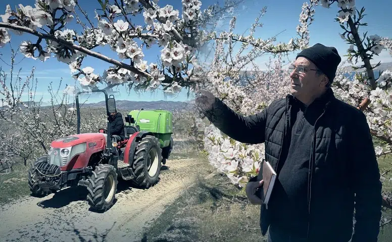 Çorak topraklar altın madenine dönüştü: Keban kıyısında badem bereketi